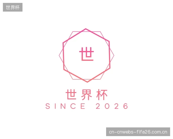 解读世界杯中心